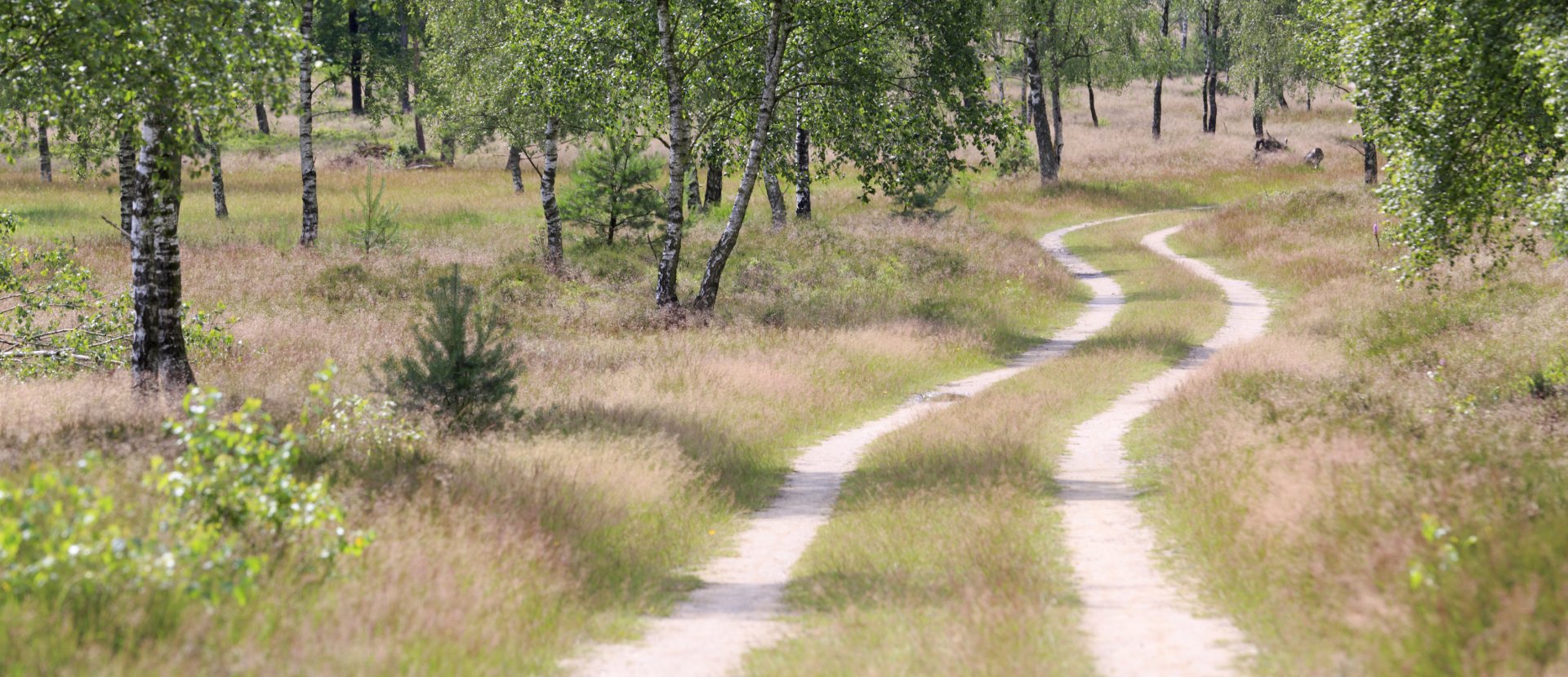 Struin over het langste natuurpad van Nederland | Op Pad